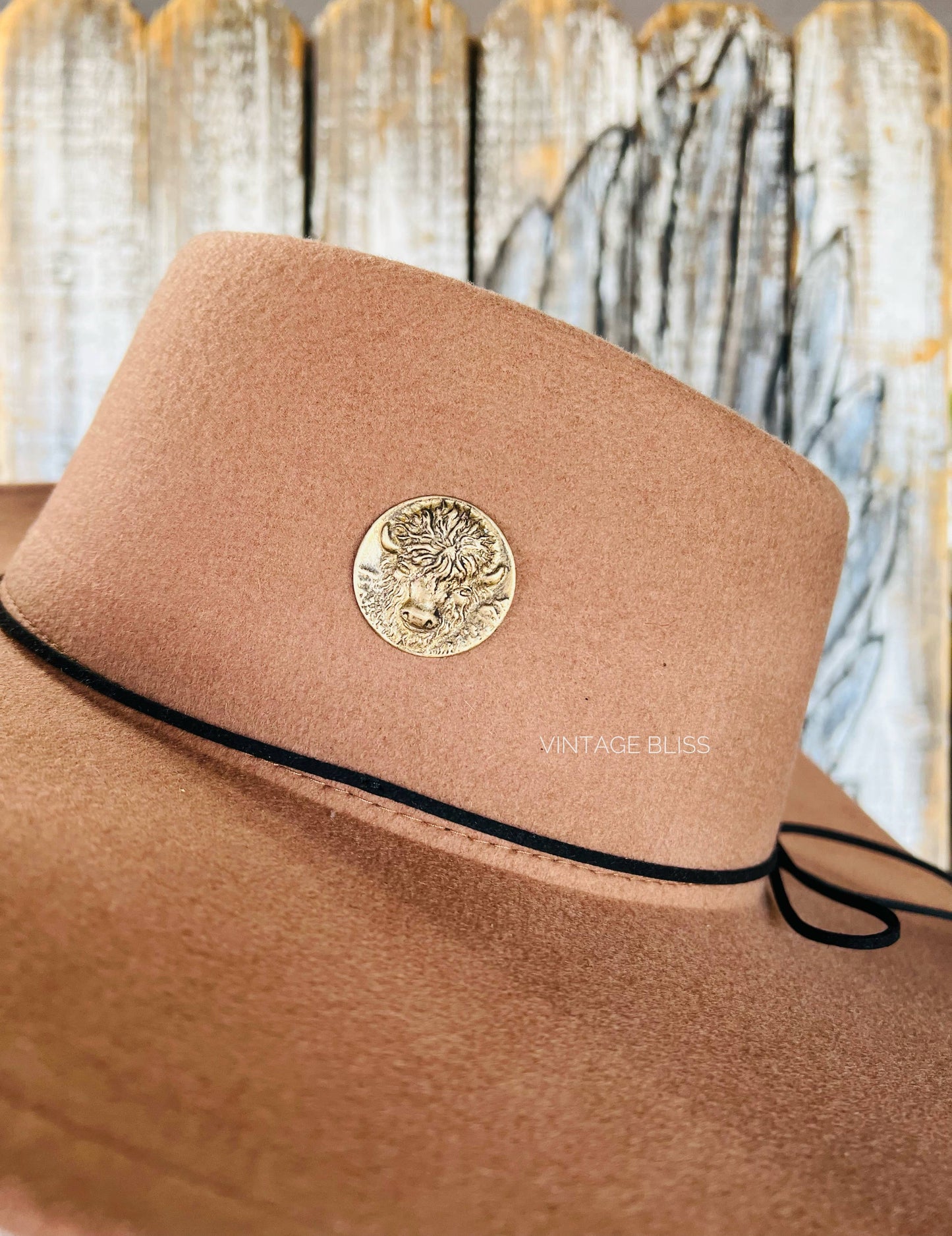 Western Brass Patina Buffalo Hat Pin Hat Bar