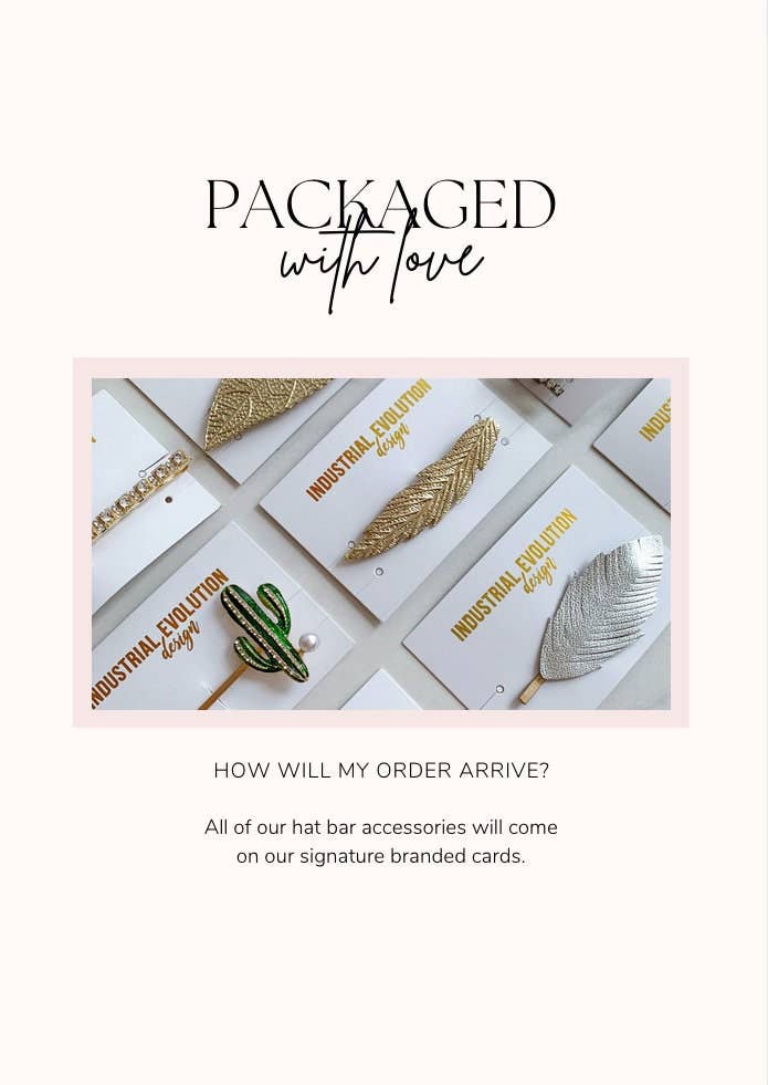 Assorted 10 Pack - Hat Bar Bobby Pins + Brooches